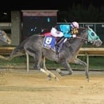 Organization of Racing Investigators to hold training conference