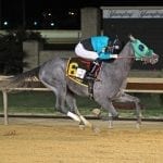 NJ-bred Sunny Ridge surges to Stymie win