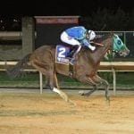 Tapwrit, Mastery rise in NTRA top 3yo poll