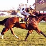 Blog: Maiden score for Aiden’s Rag Doll