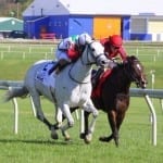 Phlash Phelps cruises to repeat Turf triumph