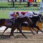 Promising juveniles shine on Maryland Million day