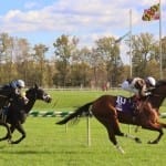 Devilish Love edges to Ladies victory