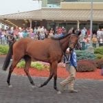 Seven last-out winners tangle in Smart Halo