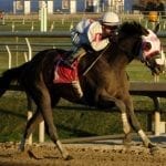 True Sweetheart gives Uptowncharlybrown first winner