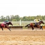 Exercise rider Leiva making a life in his adopted country