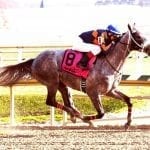Country Life Farm’s Mary Jo Pons passes