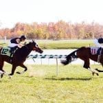 “Fun ride” aboard PA-bred Spelling Again