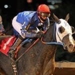 Sharp Azteca, Name Changer shine in Laurel stakes wins
