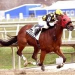 Happy homecoming for Barclay Tagg in Safely Kept