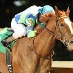 Irace seeking “a shot” for Monmouth Park