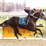 I Need You, Rockin Jojo take restricted stakes