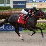 Malibu Stacy favored in Safely Kept