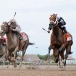 Top Midlantic-bred Poll leaders eye Breeders’ Cup