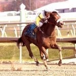 Tequilita drinks up Smart Halo win