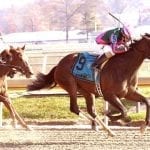 Happy homecoming for Barclay Tagg in Safely Kept
