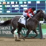 Lynch barn loaded with two-year-old talent