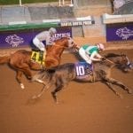 Midlantic trainers among those denied Stud Book privileges