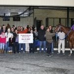 Rombauer narrowly in NTRA Top Thoroughbred Poll