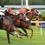 Hot City Girl, Paulassilverlining top Laurel Park stakes noms