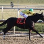 Divining Rod returns with emphatic score