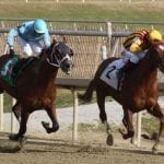 Charles Town cancels weekend cards