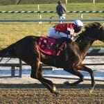 Schoenthal brings twofer to Fire Plug Stakes