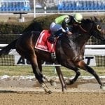 Heir Port is first winner for sire Mosler