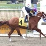 Pa-bred Unique Bella enters NTRA Top Thoroughbred Poll after easy win