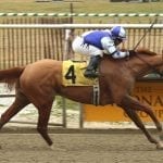 Dear Santa: Maryland racing’s wishlist for 2018
