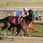 With big weekend looming, McCraken retains top spot in NTRA top 3yo poll