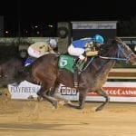 Maryland-based El Areeb headlines Withers field