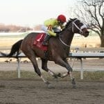McCraken still tops NTRA top 3yo poll; PA-bred Unique Bella rising