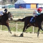 Tapwrit, Mastery rise in NTRA top 3yo poll