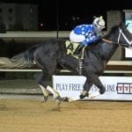 Solid group with local flavor set for Coalition Stakes
