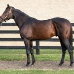 Kendrick Carmouche gets 3,000th win
