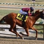 Timonium: Austin Reynolds (kinda) following in dad’s footsteps