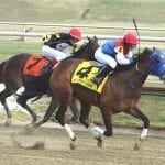 Fravel impressed with “first class” work on Laurel Park
