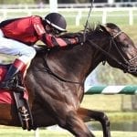 Gov. Hogan: No $300 million check for Pimlico
