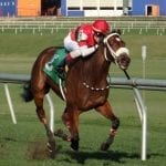 Missed Saturday’s Off to the Races radio show? Listen here!