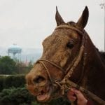 Shipping a complicated process – but winning can make it worthwhile