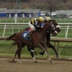 Irish War Cry stamps Derby ticket with Wood win