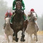 Graded winners Page McKenney, Dark Nile top Parx stakes