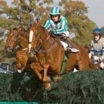 As CT naproxen investigation grinds on, ship-in horsemen take precautions