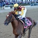 Three wins – but no Valentine – for trainer Javier Contreras