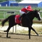 Comfort key for Irish War Cry as Derby nears