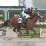 Preakness notes: Gunnevera arrives; Royal Mo breeze postponed