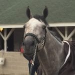 Larry Jones gearing up for Delaware Park season