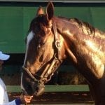Exercise rider Leiva making a life in his adopted country
