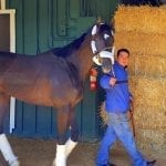 Classic Empire gearing up to take best shot in Preakness